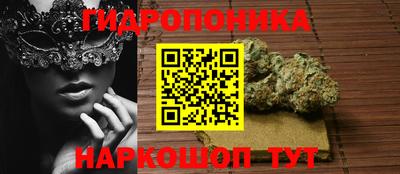 дмт Нарткала