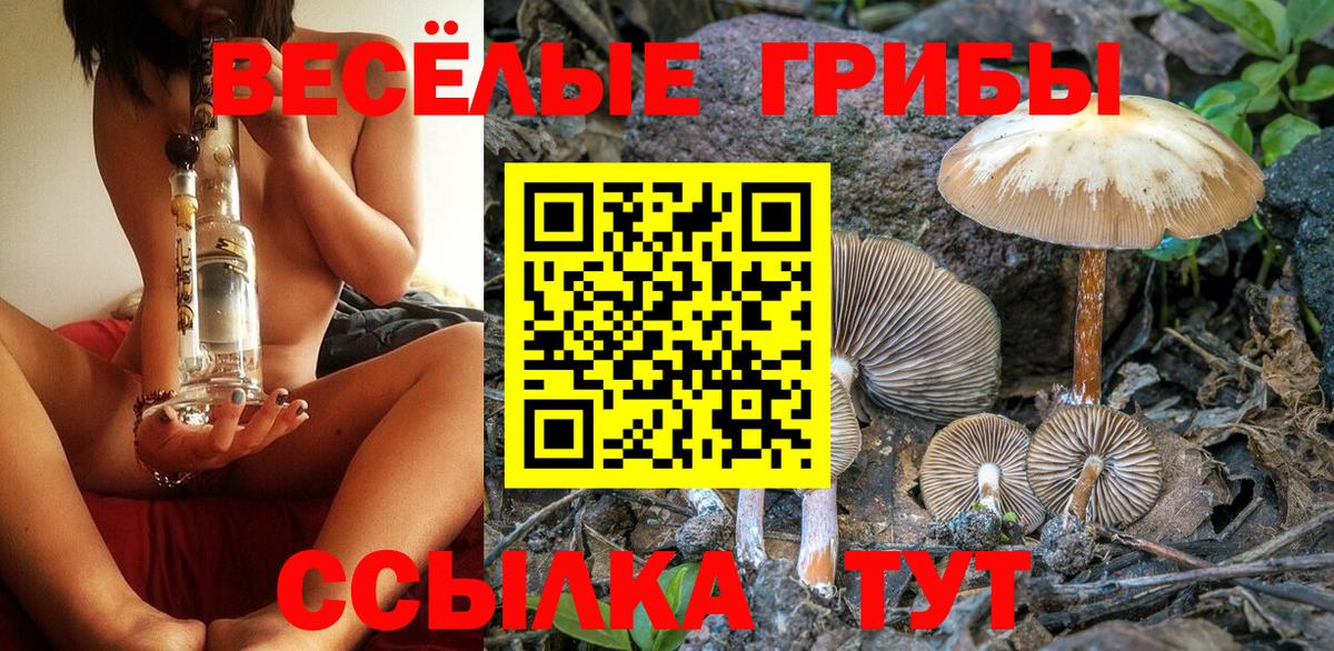 Галлюциногенные грибы мицелий Учалы